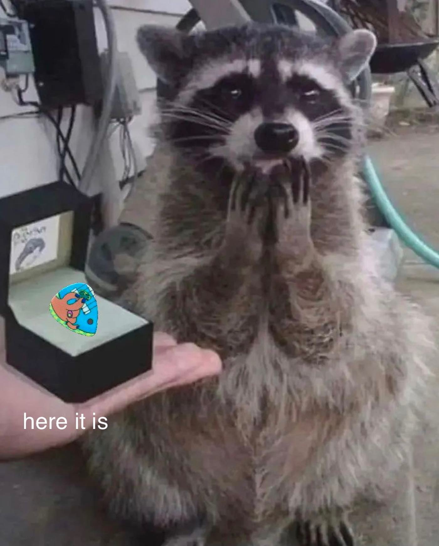 MEMI
