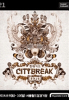 현대카드 CITYBREAK(시티브레이크) 2014